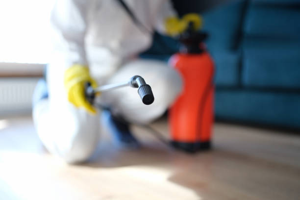 Best Biohazard Mold Removal  in Rockport, TX